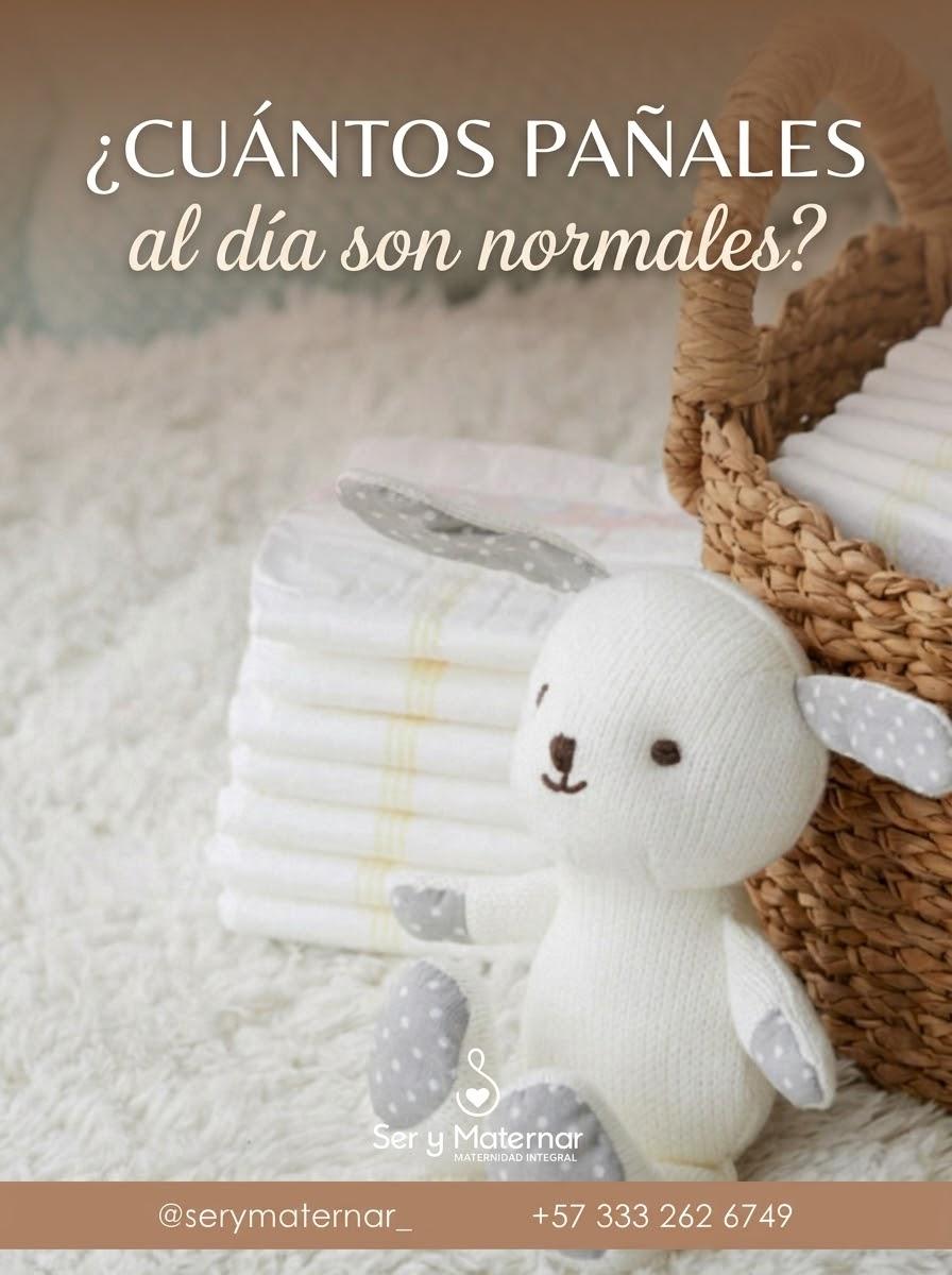 Portada de la guía ¿Cuántos pañales al día son normales?: pañales doblados junto a un conejo de peluche